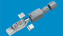CAT-6 RJ45 Connectors - Modules, connectors and patch panels